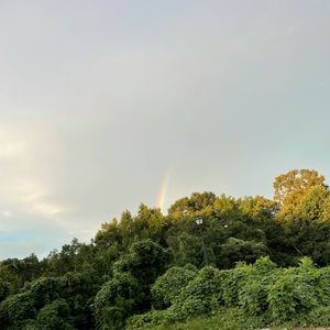 Meet your Posher, True story